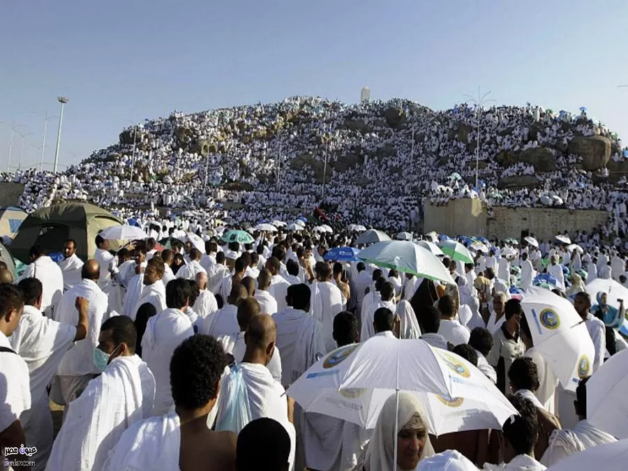 مدار الساعة,أخبار الأردن,اخبار الاردن,وزارة الأوقاف,قطاع غزة