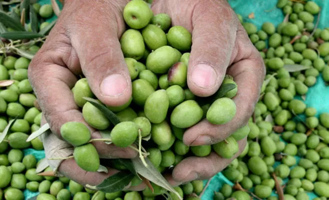 مدار الساعة,أخبار اقتصادية