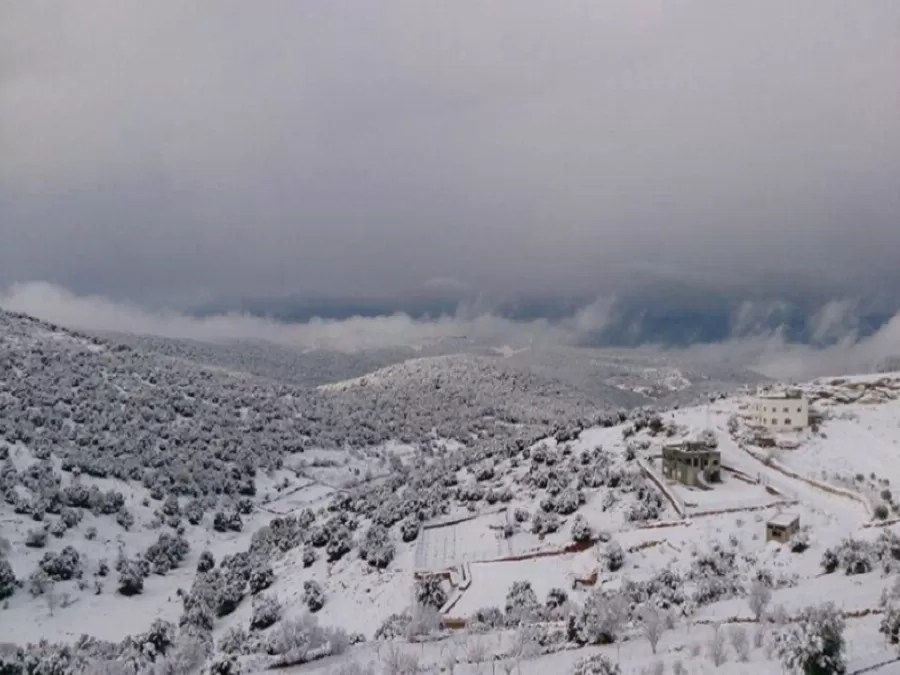 مدار الساعة,أخبار الأردن,اخبار الاردن