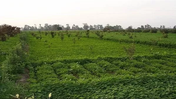 مدار الساعة,أخبار اقتصادية