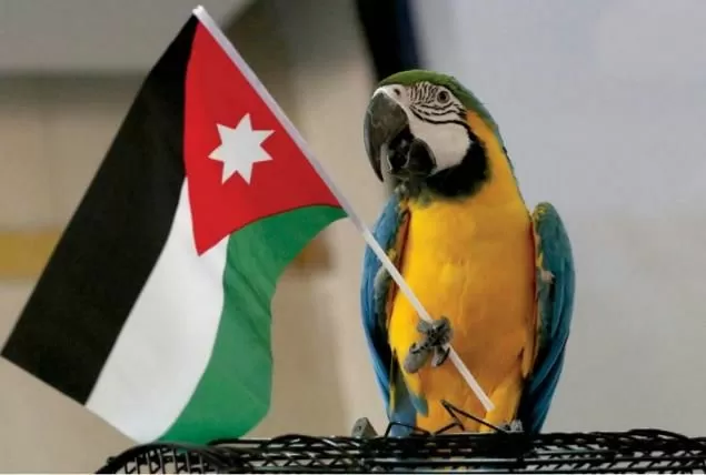 مدار الساعة,أخبار المجتمع الأردني