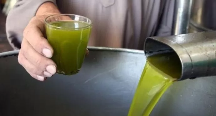 مدار الساعة,أخبار الأردن,اخبار الاردن,المؤسسة العامة للغذاء والدواء