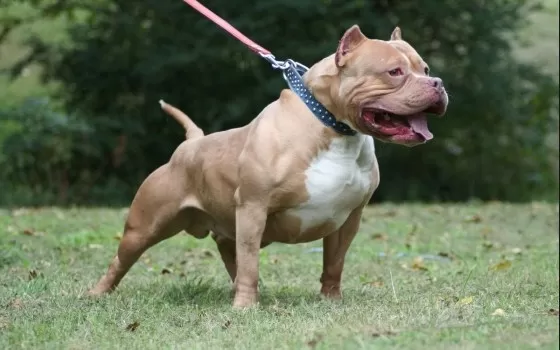 مدار الساعة,Video,فيديو,أخبار خفيفة ومنوعة