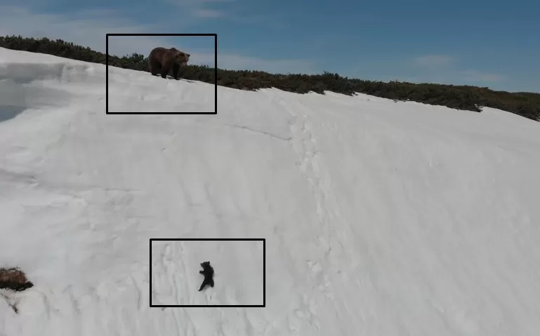 مدار الساعة,Video,فيديو,أخبار خفيفة ومنوعة