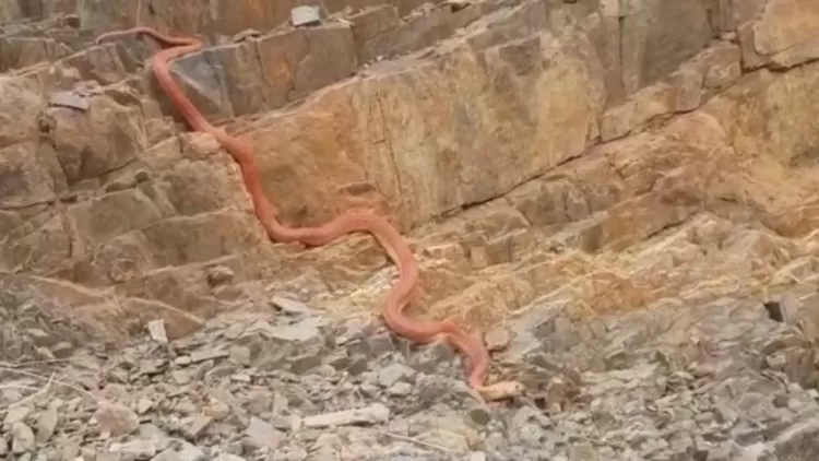 مدار الساعة,Video,فيديو,أخبار خفيفة ومنوعة