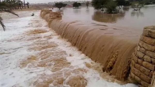 مدار الساعة,أخبار الأردن,اخبار الاردن