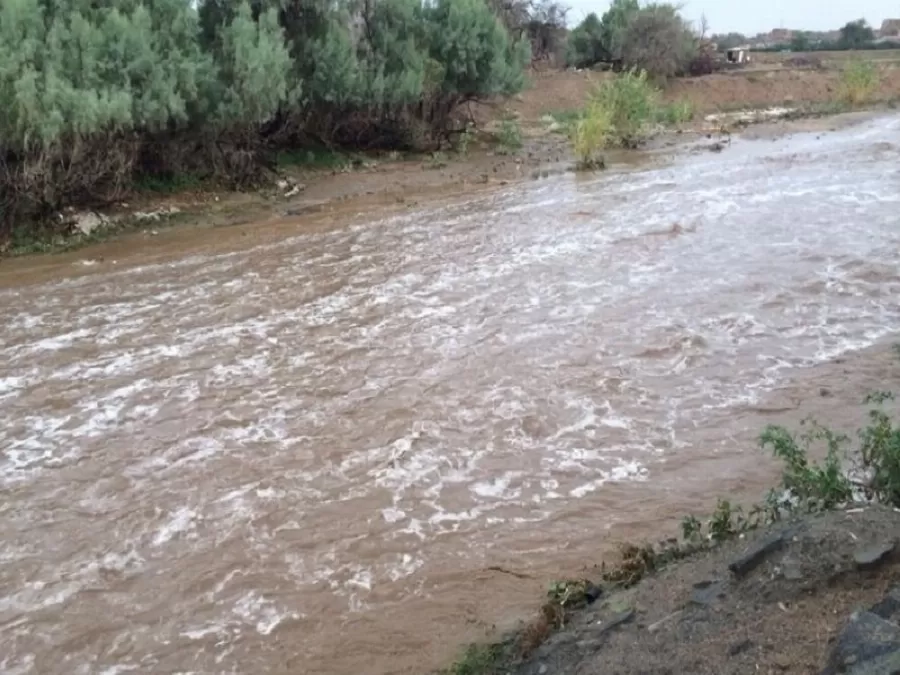 مدار الساعة,أخبار الأردن,اخبار الاردن