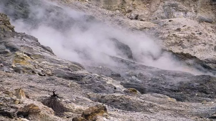 مدار الساعة,أخبار عربية ودولية