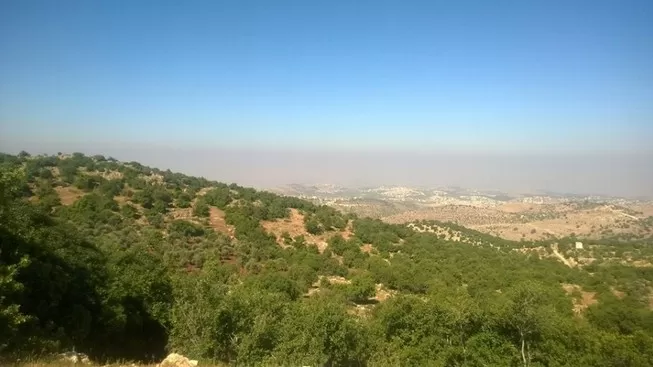 مدار الساعة,أخبار الأردن,اخبار الاردن,درجات الحرارة