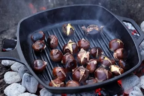 مدار الساعة,أخبار خفيفة ومنوعة