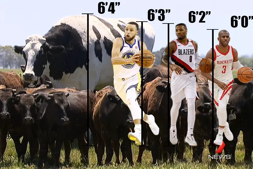 مدار الساعة,أخبار خفيفة ومنوعة,مواقع التواصل الاجتماعي