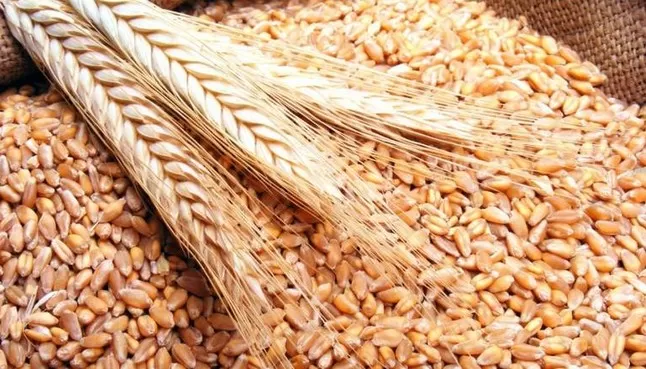 مدار الساعة,أخبار اقتصادية,وزارة الصناعة والتجارة,وزارة الصناعة