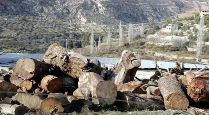 مدار الساعة,أخبار الأردن,اخبار الاردن,الدفاع المدني