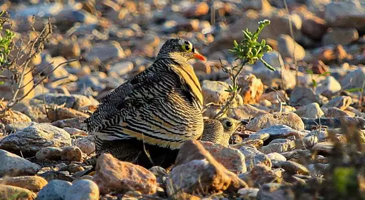مدار الساعة,أخبار الأردن,اخبار الاردن