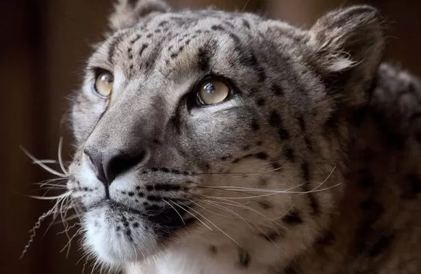 مدار الساعة,أخبار خفيفة ومنوعة