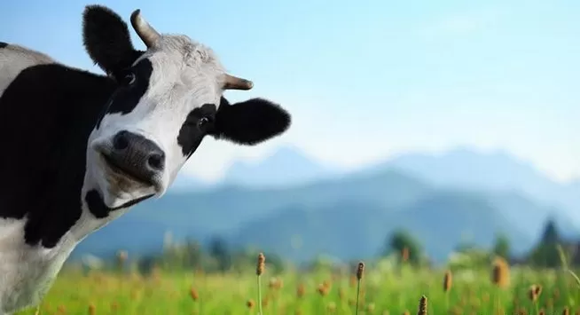 مدار الساعة,أخبار خفيفة ومنوعة