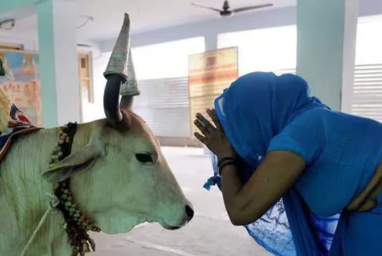 مدار الساعة,أخبار خفيفة ومنوعة