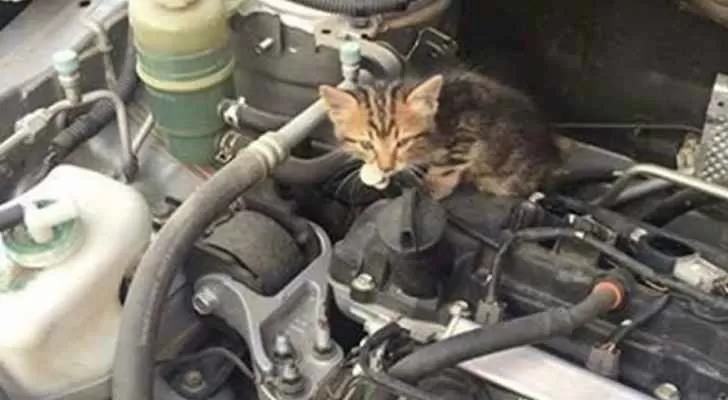 مدار الساعة,أخبار خفيفة ومنوعة,درجات الحرارة