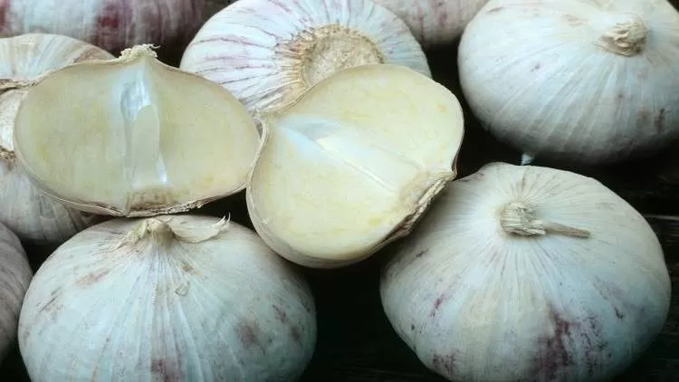 مدار الساعة,أخبار خفيفة ومنوعة