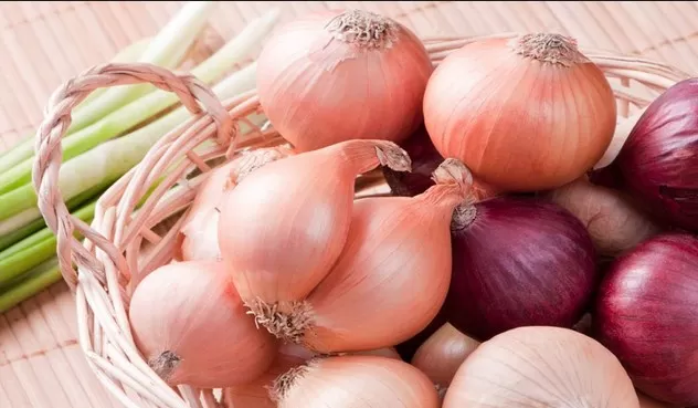 مدار الساعة,أخبار الأردن,اخبار الاردن,وزير الزراعة,وزير البيئة,وزارة الزراعة