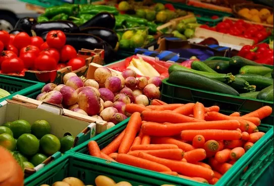 مدار الساعة,أخبار اقتصادية,وزير الزراعة,وزير البيئة,وزارة الزراعة