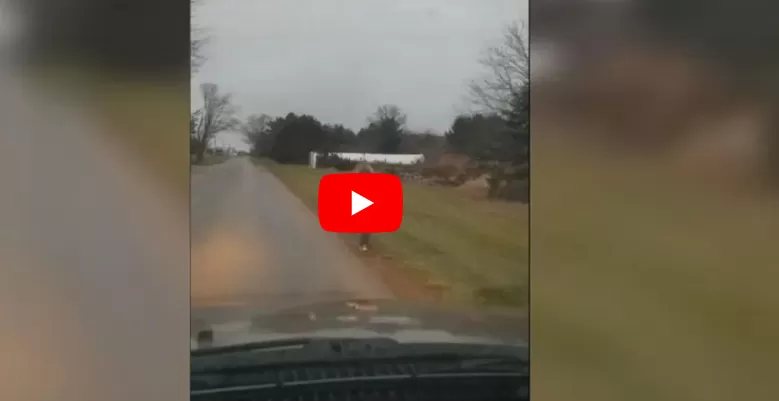 مدار الساعة,Video,فيديو,أخبار خفيفة ومنوعة