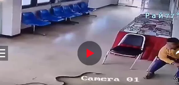 مدار الساعة,Video,فيديو,أخبار خفيفة ومنوعة,وسائل التواصل الاجتماعي