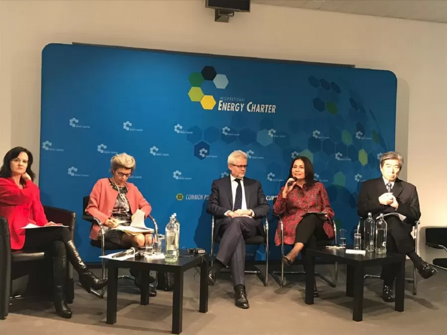 مدار الساعة,أخبار اقتصادية,وزيرة الطاقة والثروة المعدنية,مجلس النواب