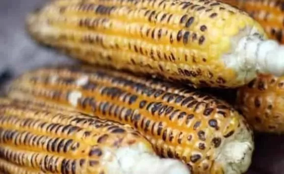 مدار الساعة,أخبار خفيفة ومنوعة