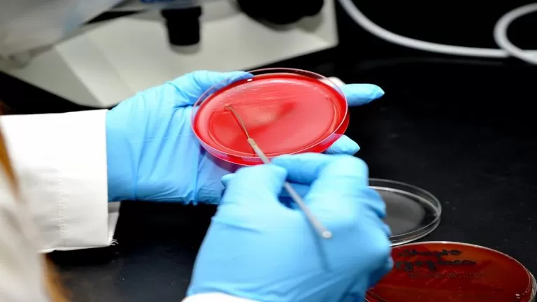 مدار الساعة,أخبار خفيفة ومنوعة