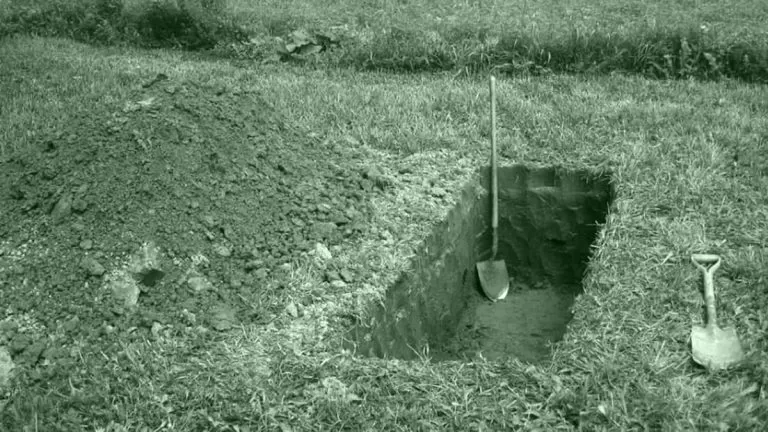 مدار الساعة,أخبار خفيفة ومنوعة