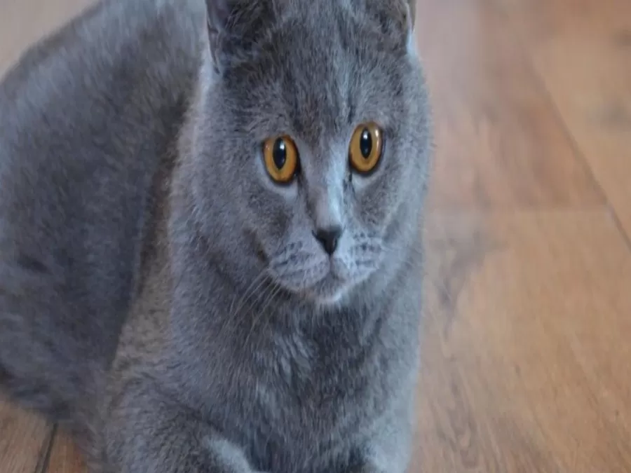 مدار الساعة,أخبار خفيفة ومنوعة