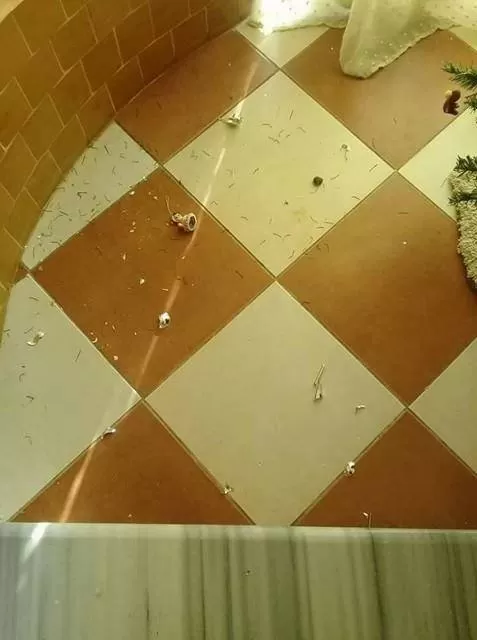 مدار الساعة,أخبار الأردن,اخبار الاردن