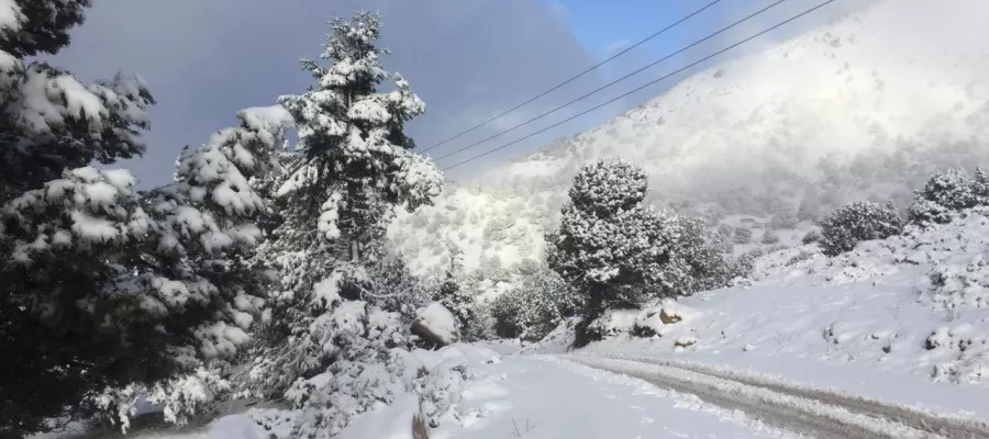 مدار الساعة,الطقس في الأردن اليوم,طقس الأردن,طقس العرب,طقس العرب الاردن,درجات الحرارة,الأرصاد الجوية