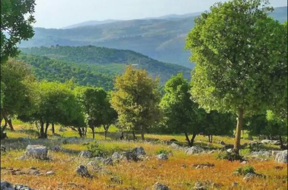 مدار الساعة,أخبار السياحة في الأردن