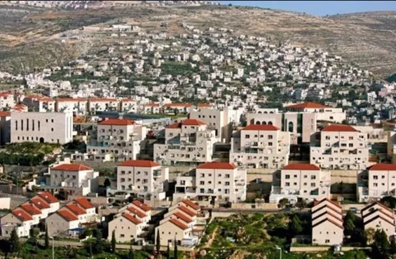 مدار الساعة,أخبار عربية ودولية,وزارة المالية