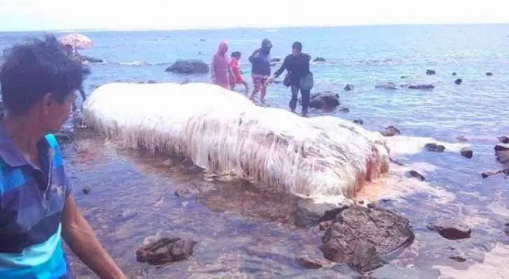 مدار الساعة,Video,فيديو,أخبار خفيفة ومنوعة