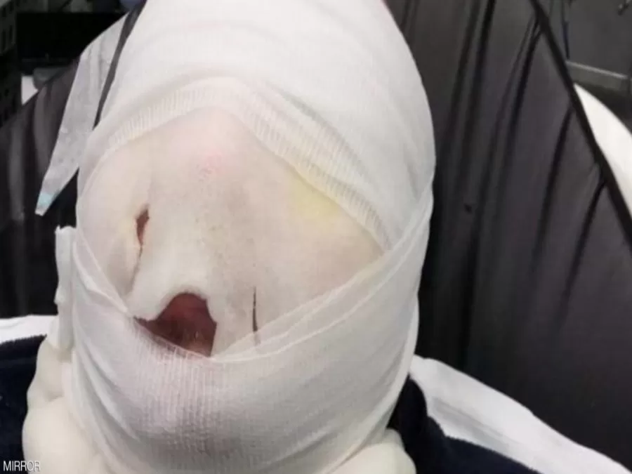 مدار الساعة,أخبار خفيفة ومنوعة