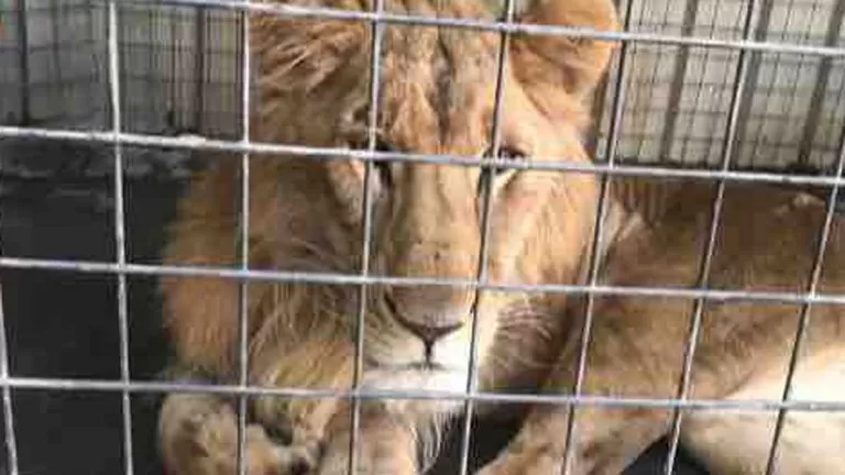 مدار الساعة,أخبار خفيفة ومنوعة