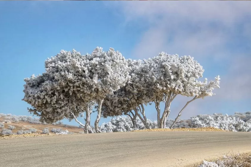 مدار الساعة,أخبار الأردن,اخبار الاردن