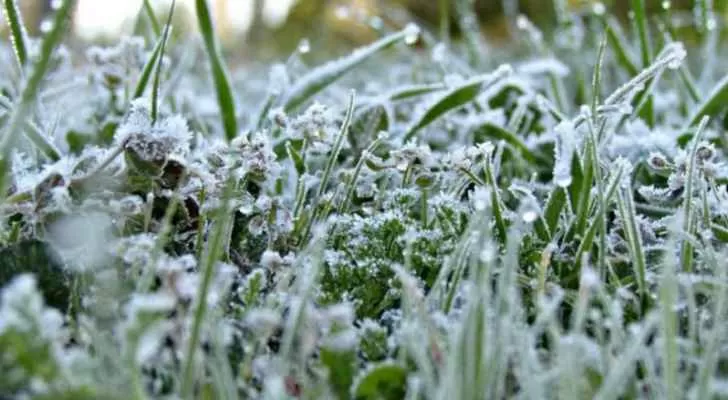 مدار الساعة,الطقس في الأردن اليوم,طقس الأردن,طقس العرب,طقس العرب الاردن,درجات الحرارة