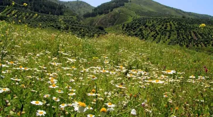 مدار الساعة,الطقس في الأردن اليوم,طقس الأردن,طقس العرب,طقس العرب الاردن,الحالة الجوية,الأرصاد الجوية,درجات الحرارة