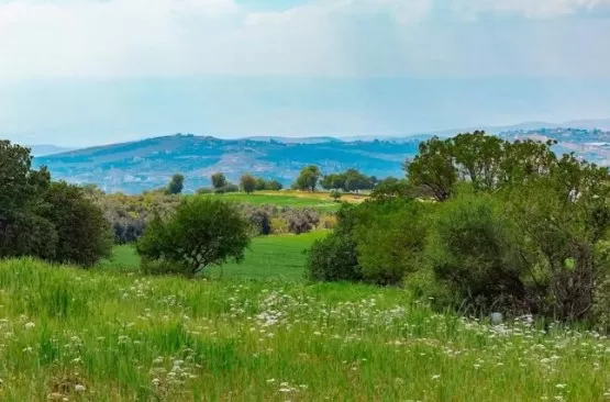 مدار الساعة,الطقس في الأردن اليوم,طقس الأردن,طقس العرب,طقس العرب الاردن,درجات الحرارة العظمى والصغرى,درجات الحرارة,البحر الميت