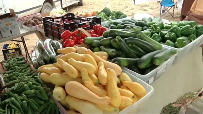 مدار الساعة,أخبار اقتصادية,وزارة الزراعة