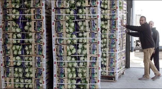 مدار الساعة,أخبار اقتصادية,الملك عبدالله الثاني,الملك عبد الله الثاني,الميزان التجاري