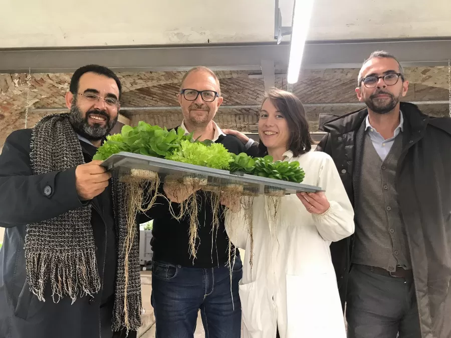 مدار الساعة,أخبار الأسرة