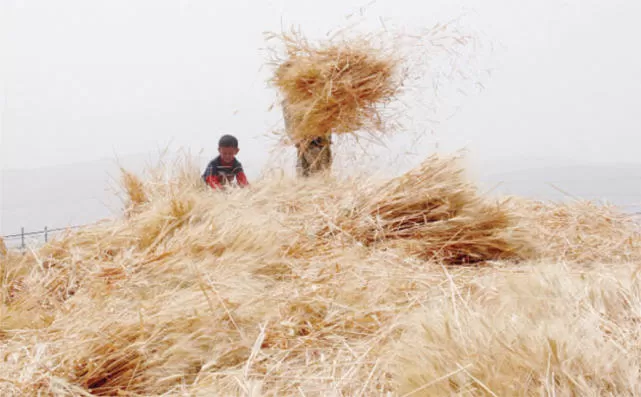 مدار الساعة,أخبار اقتصادية