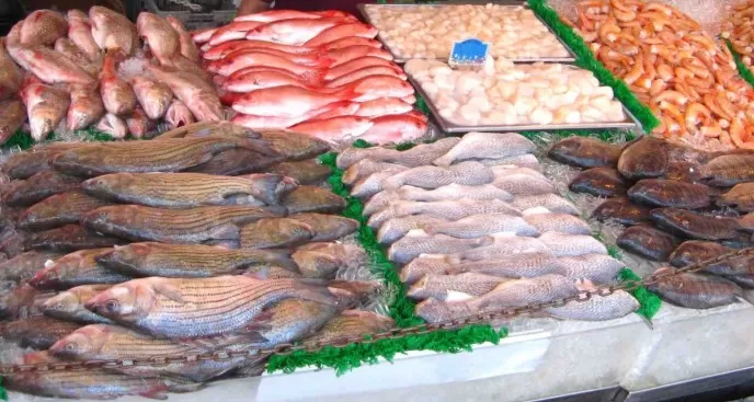 مدار الساعة,أخبار اقتصادية,وزير الزراعة,الاتحاد الأوروبي,وزارة الزراعة