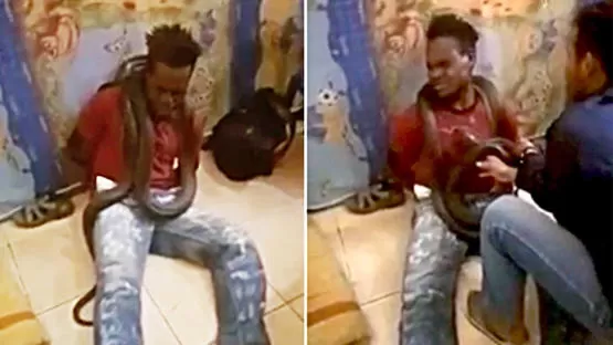 مدار الساعة,Video,فيديو,أخبار خفيفة ومنوعة