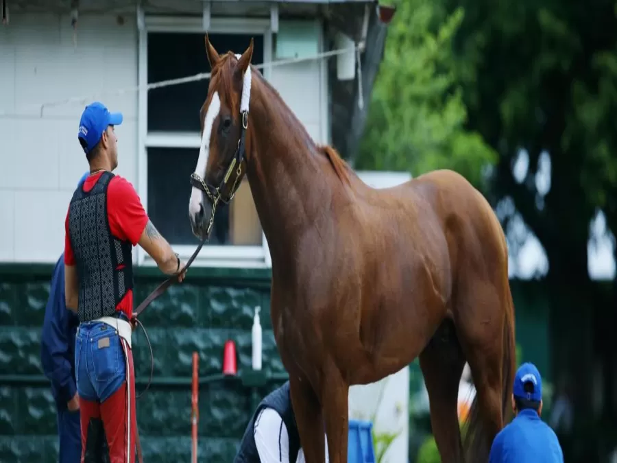 مدار الساعة,أخبار خفيفة ومنوعة,وزارة البيئة,مواقع التواصل الاجتماعي